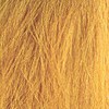 Framesi 9D Very Pale Golden Blonde 2 Fl. Oz.